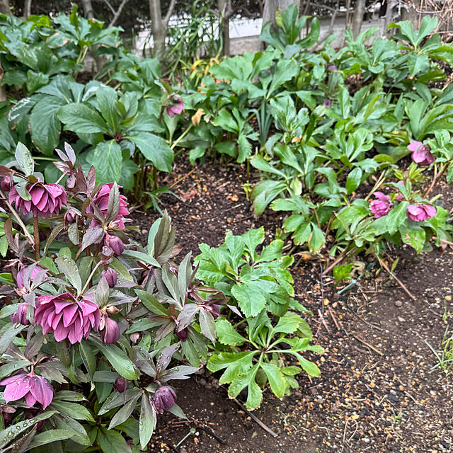 mamizaさんの部屋