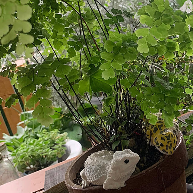 Aqettyさんの部屋
