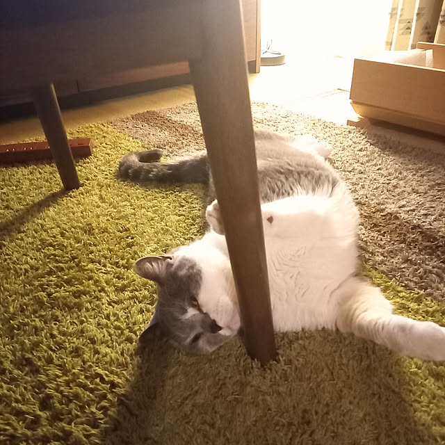 rhuさんの実例写真