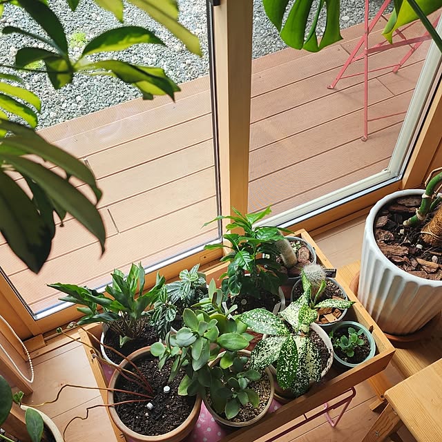 saさんの部屋
