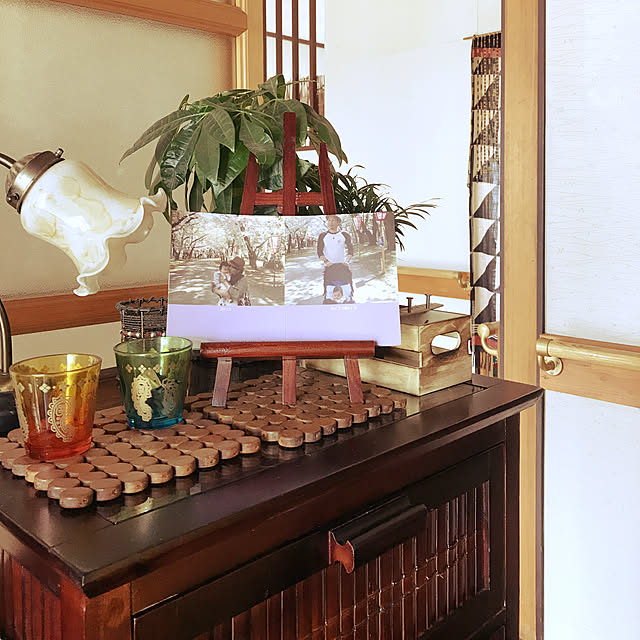 棚/観葉植物/ダイソー/雑貨/照明のインテリア実例 - 2017-08-19 12:15:47