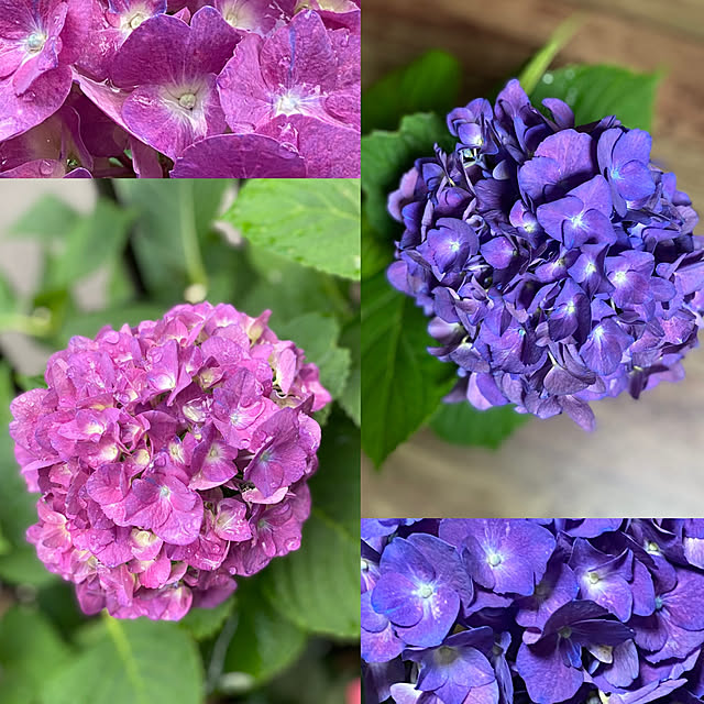 Smilkazuさんの実例写真