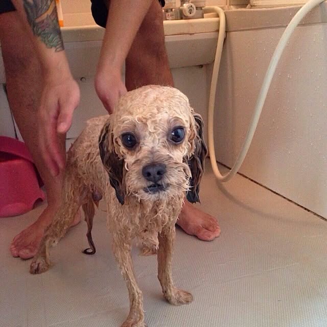 masakiさんの実例写真