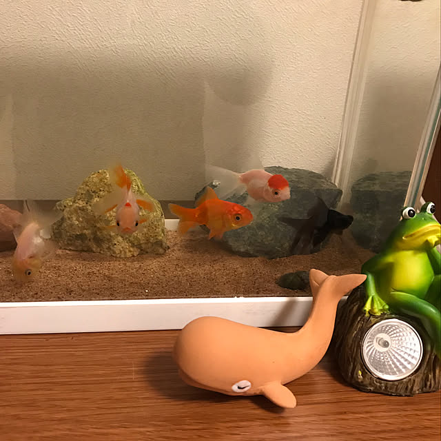 tornadeさんの実例写真