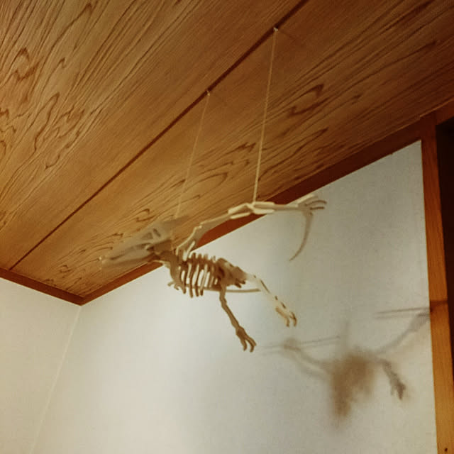 Hiromiさんの実例写真