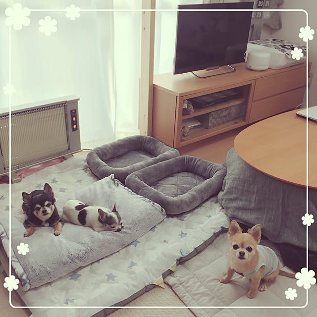 Emiさんの実例写真