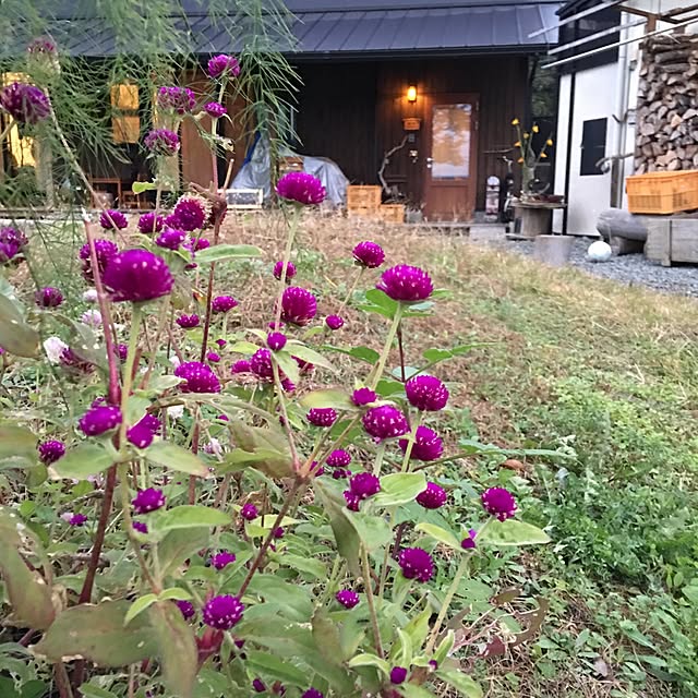 kozakura10さんの実例写真
