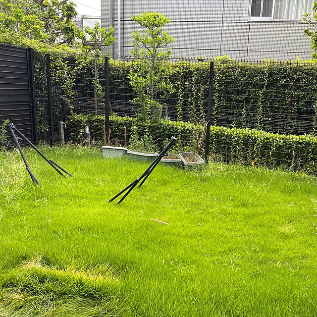 saekoさんの部屋
