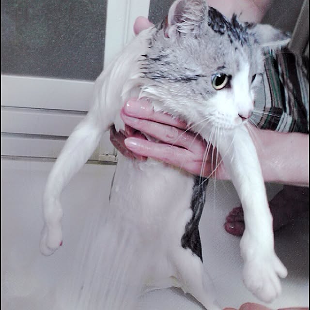Tomo3さんの実例写真