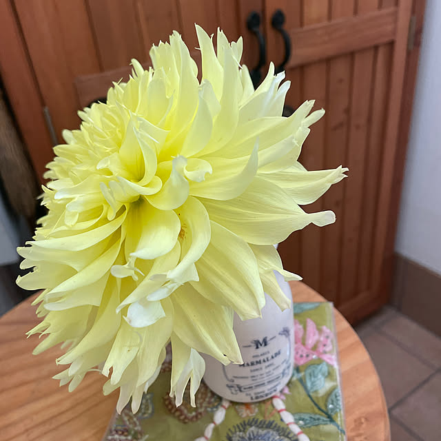 nattunさんの部屋