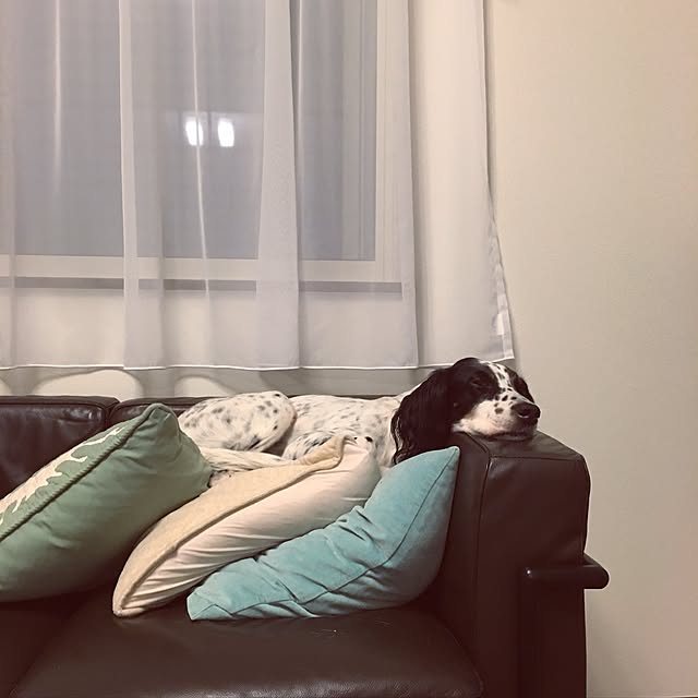 Masakoさんの実例写真