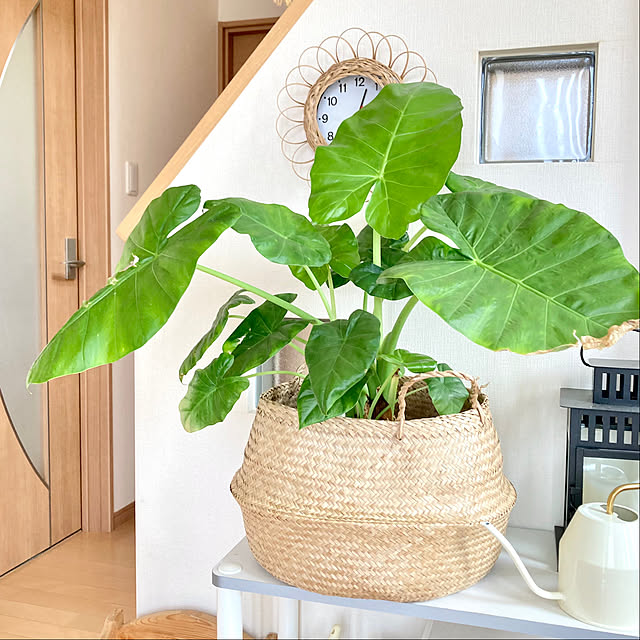 merutoさんの部屋