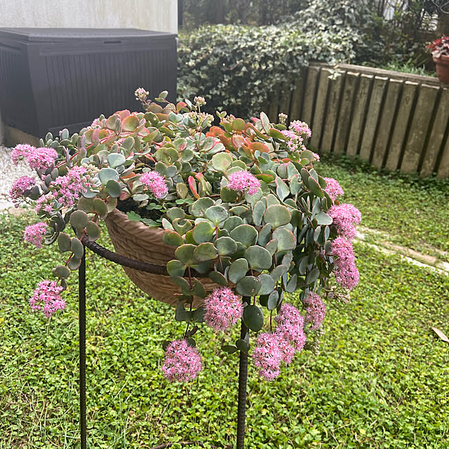 fulucoさんの実例写真