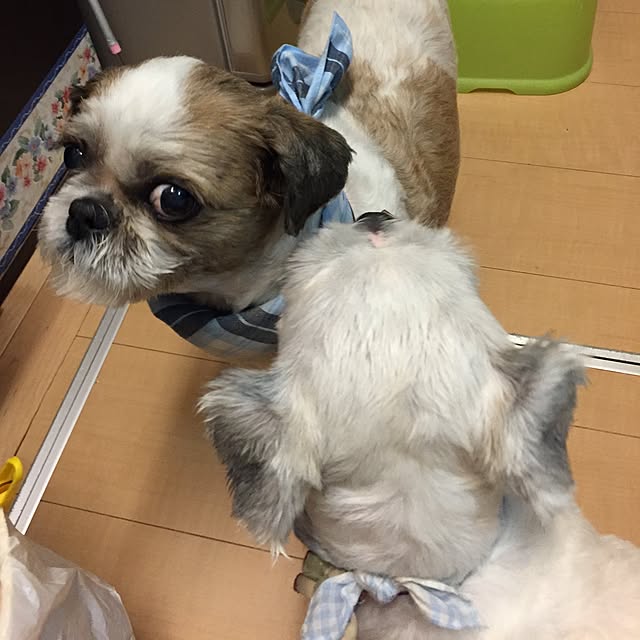 emiさんの実例写真