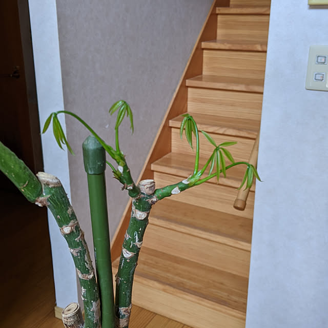 kouheiyuto24623takaさんの実例写真