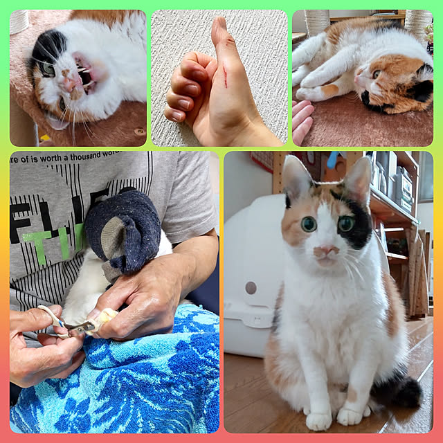 nanaさんの実例写真