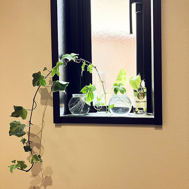 qp_ktbnさんの部屋