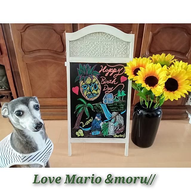 moruさんの部屋
