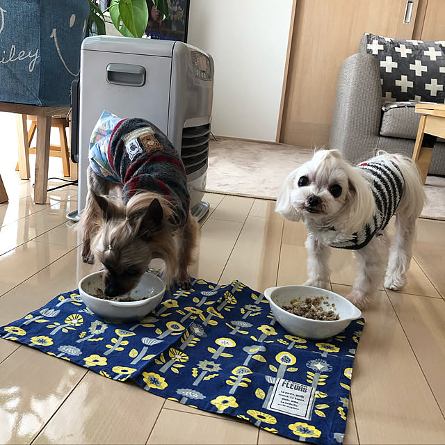 loliontoaliceveさんの実例写真