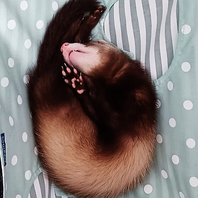 chokocreamさんの実例写真