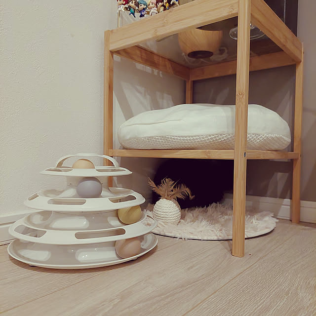 Sakasanさんの実例写真
