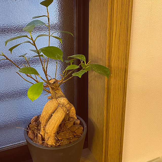 tocoさんの実例写真