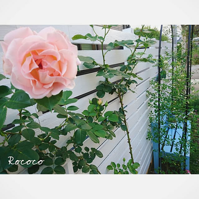 erikamama.さんの実例写真