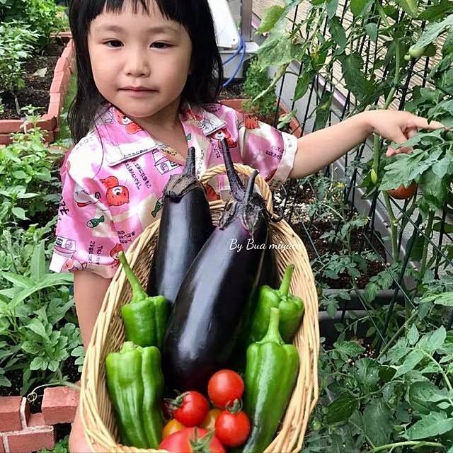 Buaさんの実例写真