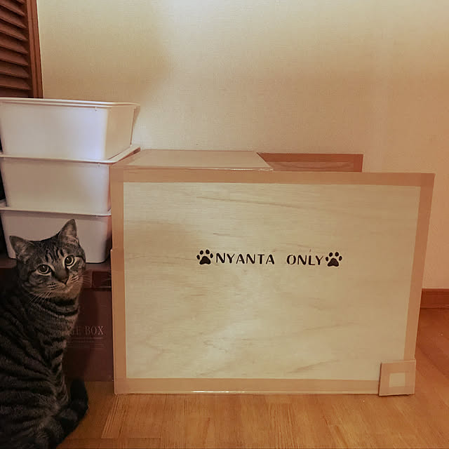 ako_a_kikoさんの実例写真