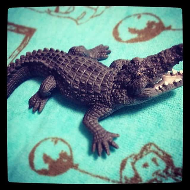yukiさんの実例写真