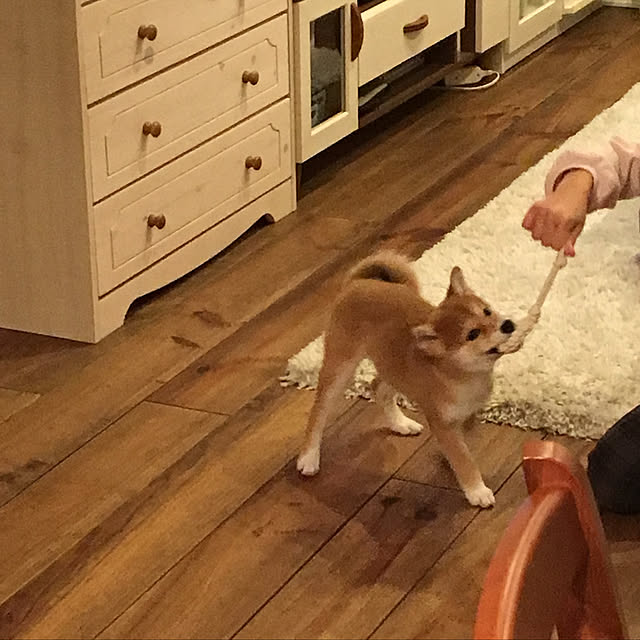 usaさんの実例写真