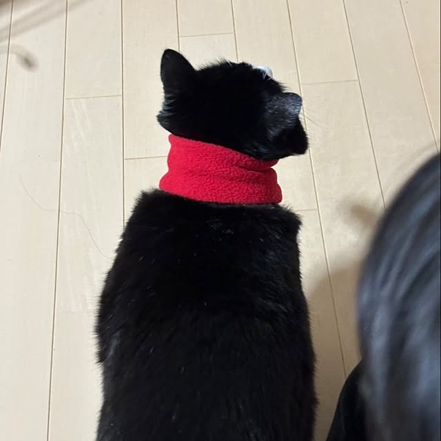 koromaroさんの部屋