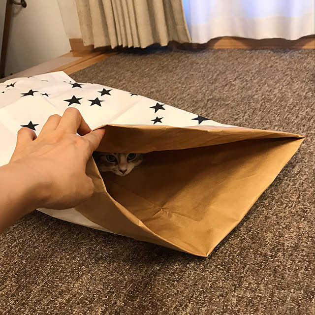RIKAYURAさんの実例写真