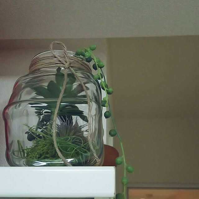 panchobiさんの実例写真