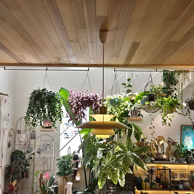 nonbiri_house_さんの部屋