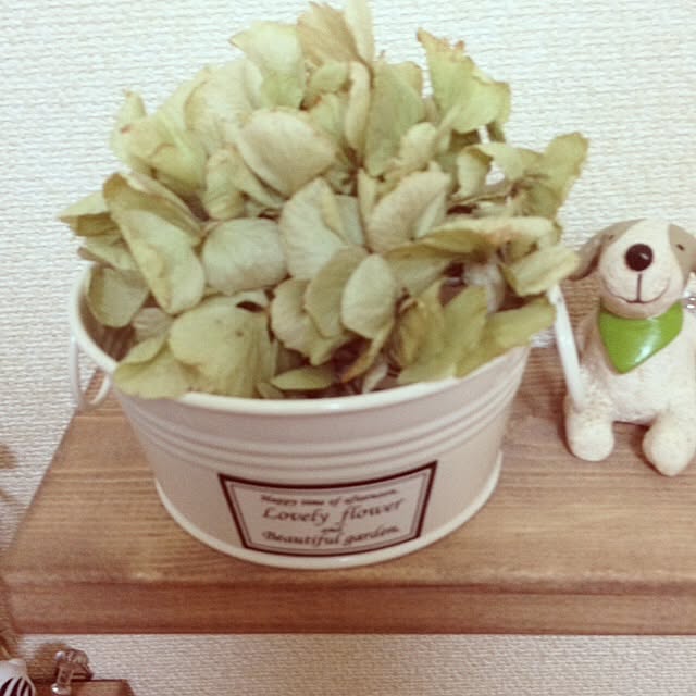 hirominminさんの実例写真