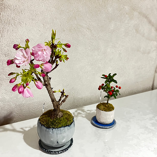 meyusaさんの部屋