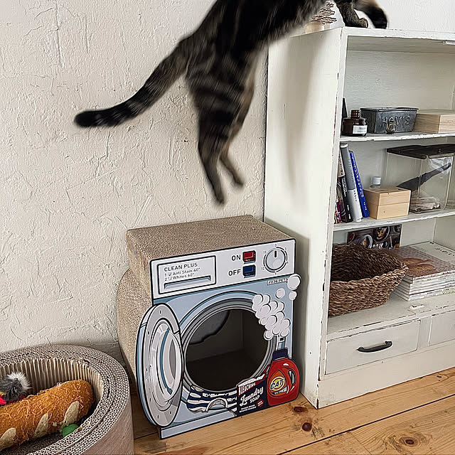 rijuさんの実例写真