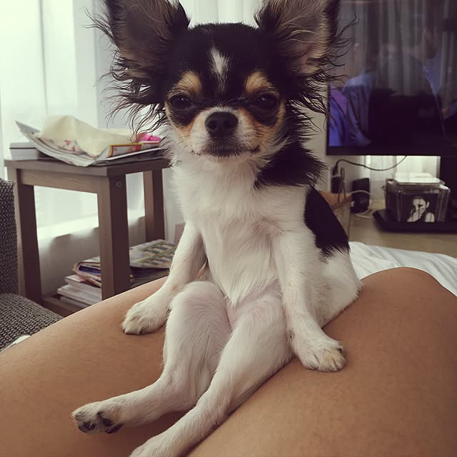 Akiraさんの実例写真