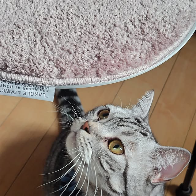 hiro3さんの部屋
