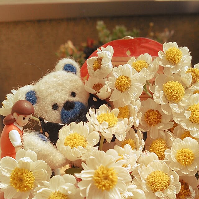 akr29さんの実例写真