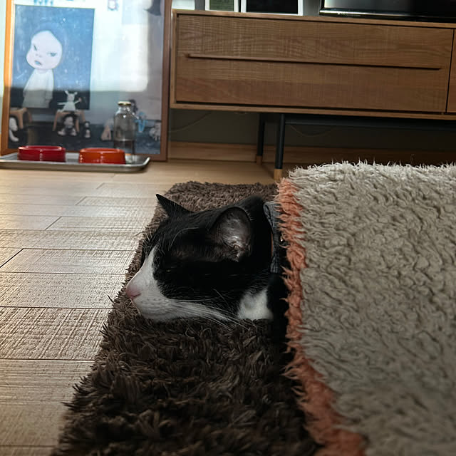 haruさんの実例写真
