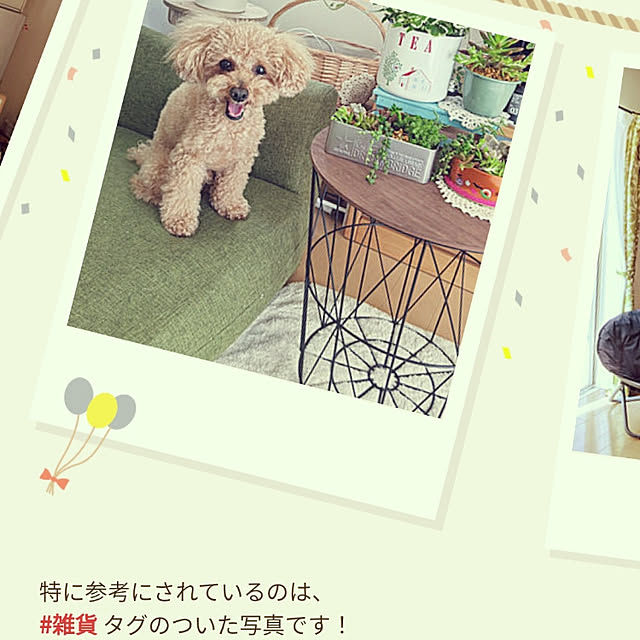 実例写真