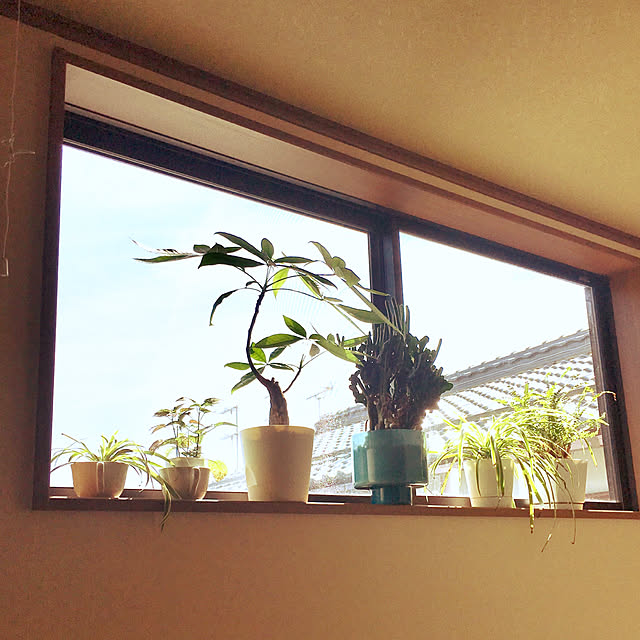 yujmさんの実例写真