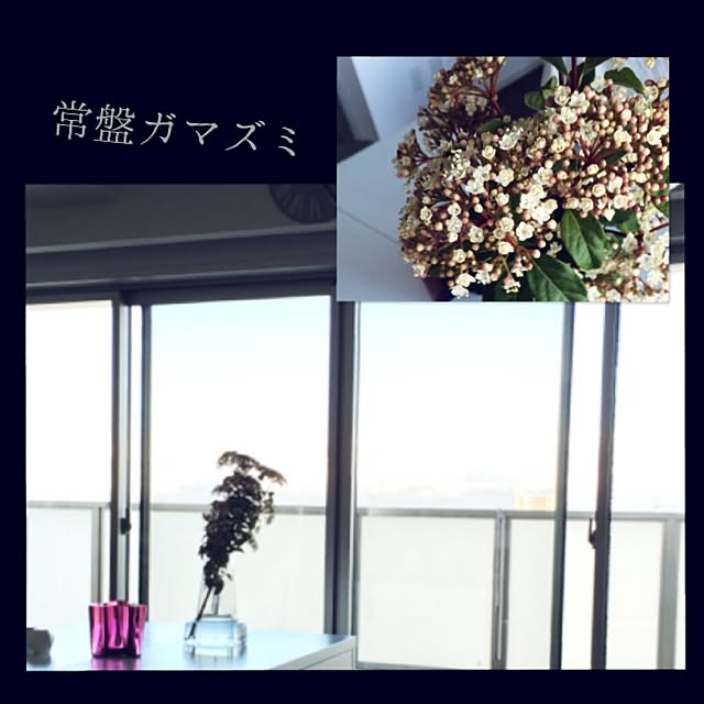 mielemieleさんの実例写真