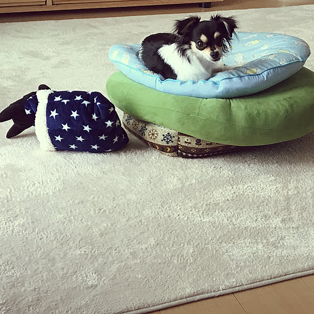 rrrさんの実例写真