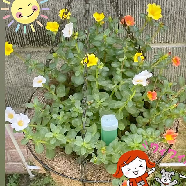 YuuKoさんの実例写真