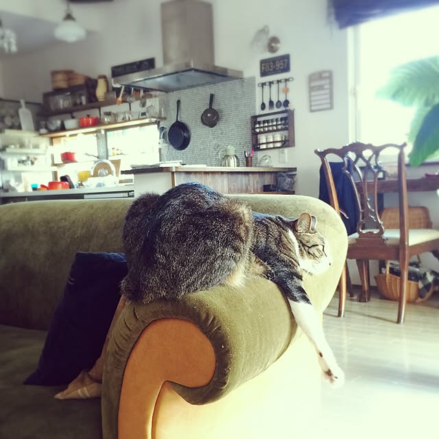 shio2772さんの実例写真