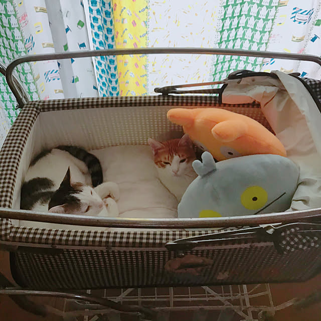 meさんの実例写真