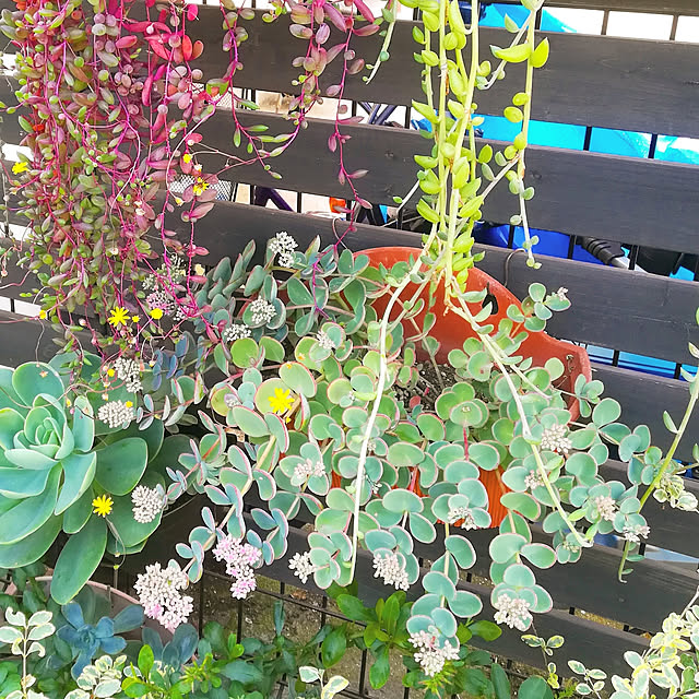 VERANDARJUNさんの実例写真